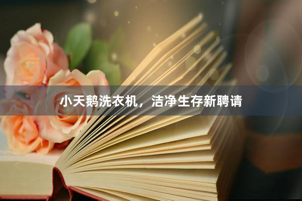 小天鹅洗衣机，洁净生存新聘请