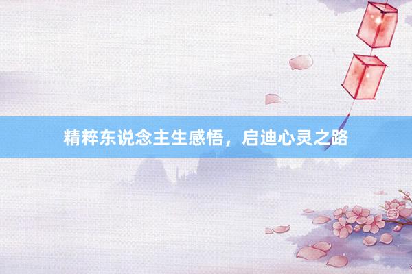 精粹东说念主生感悟，启迪心灵之路