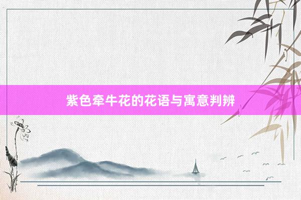 紫色牵牛花的花语与寓意判辨